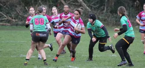 Darcy in Action